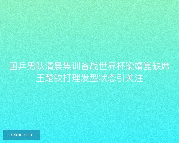 国乒男队清晨集训备战世界杯梁靖崑缺席王楚钦打理发型状态引关注