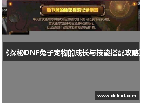 《探秘DNF兔子宠物的成长与技能搭配攻略》